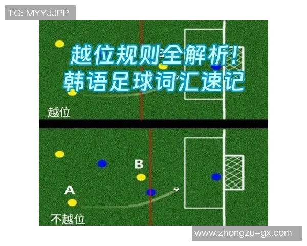 韩语中如何称呼足球明星及其相关表达方式解析